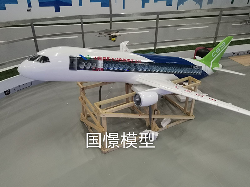 隆尧县飞机模型