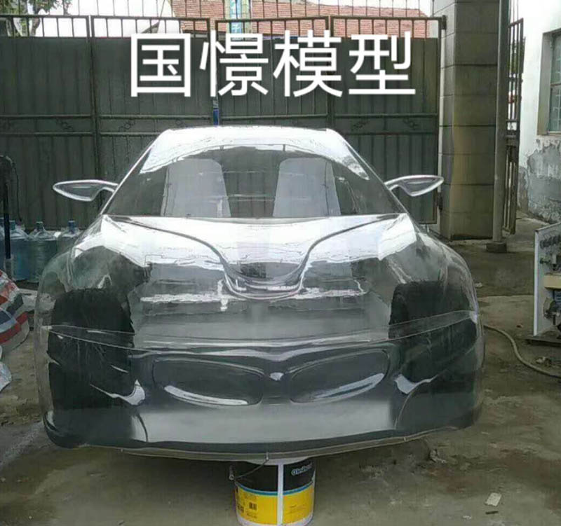 隆尧县透明车模型